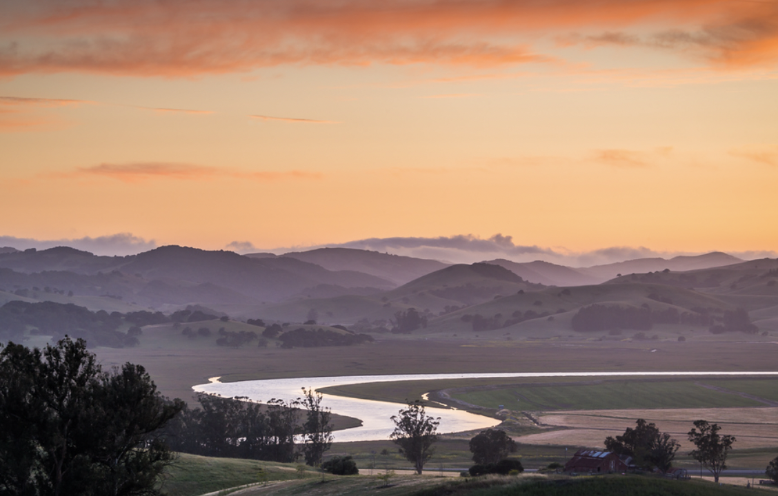 Sunny Weekends Shine a Light on Sonoma's Real Estate Market More